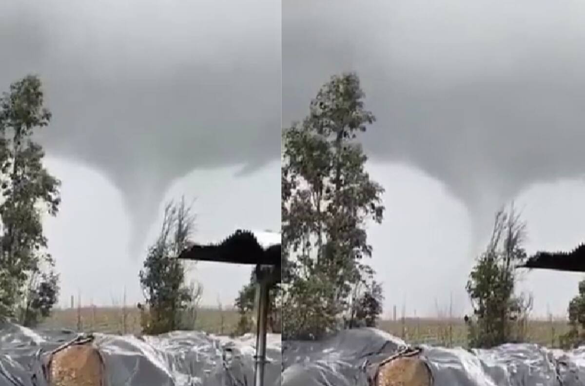 VIDEO | Impacto en la Región del Ñuble: Registran potente tornado en Chillán Viejo y Bulnes