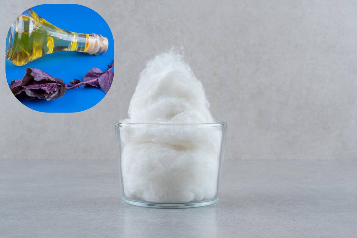 Con estos simples productos te evitarás esos malos olores que produce la acumulación de basura.
Foto: Referencial Freepik.