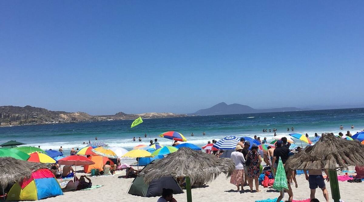 Totoralillo. Créditos: Tripadvisor.