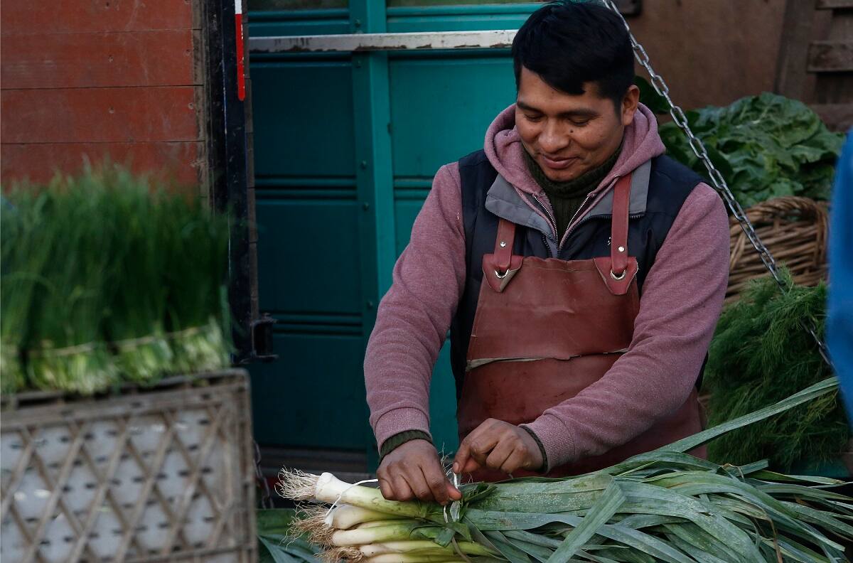 Subsidio al Ingreso Mínimo Garantizado: revisa con tu rut si tienes montos pendientes por cobrar