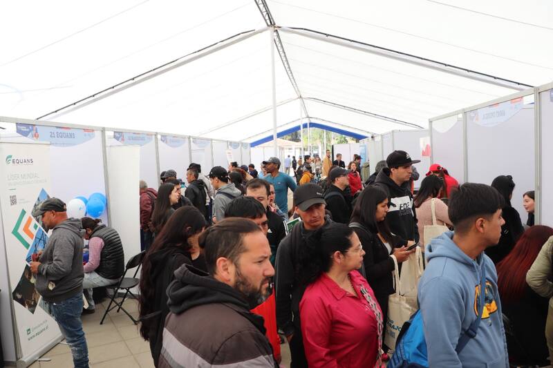 Sence desarrollará nueva feria laboral que incluirá participación presencial y también online.