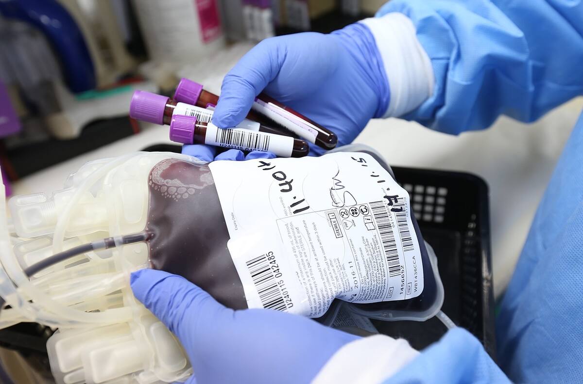 ¿Cuáles son los requisitos para donar sangre?