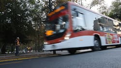 Cárcel, multas de más de $6.000.000 y suspensión de licencia: Buscan aumentar sanciones a choferes del transporte público