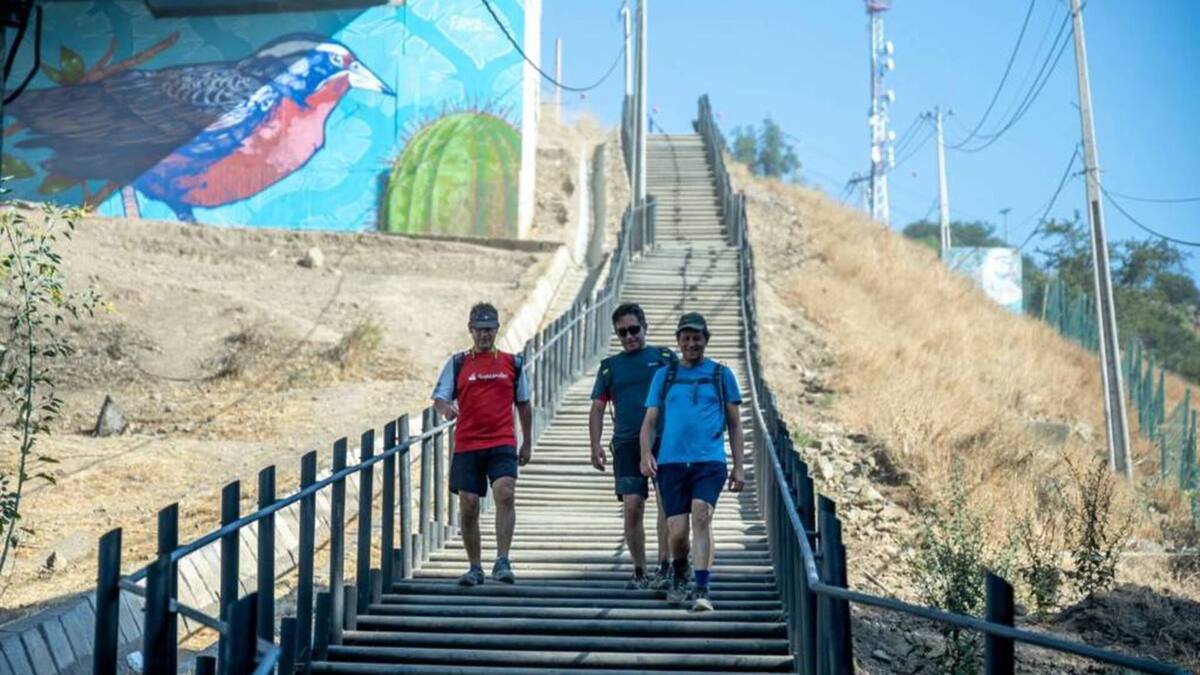 Gratuito y sin salir de la RM: El trekking que todo senderista debería conocer