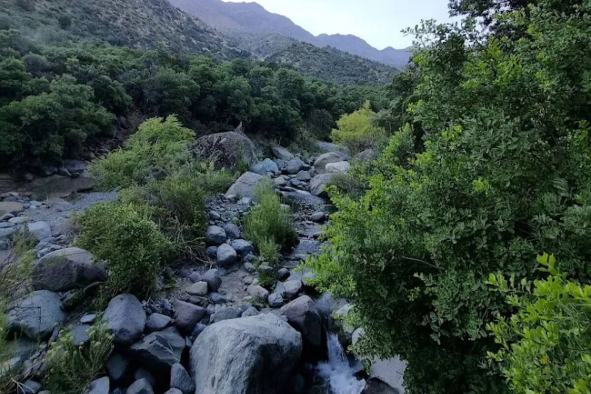 Es una excelente alternativa para disfrutar después de votar este domingo 14 de diciembre.
Créditos: Google Maps.