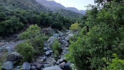 Este lugar emplazado en el Cajón del Maipo es perfecto para hacer trekking después de votar en la segunda vuelta de las elecciones