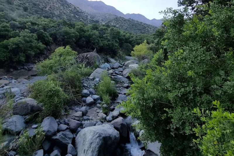 Es una excelente alternativa para disfrutar después de votar este domingo 14 de diciembre.
Créditos: Google Maps.