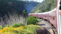 Tren del Recuerdo viajará de Santiago a San Antonio este fin de semana: Pasajes parten en los $29.900