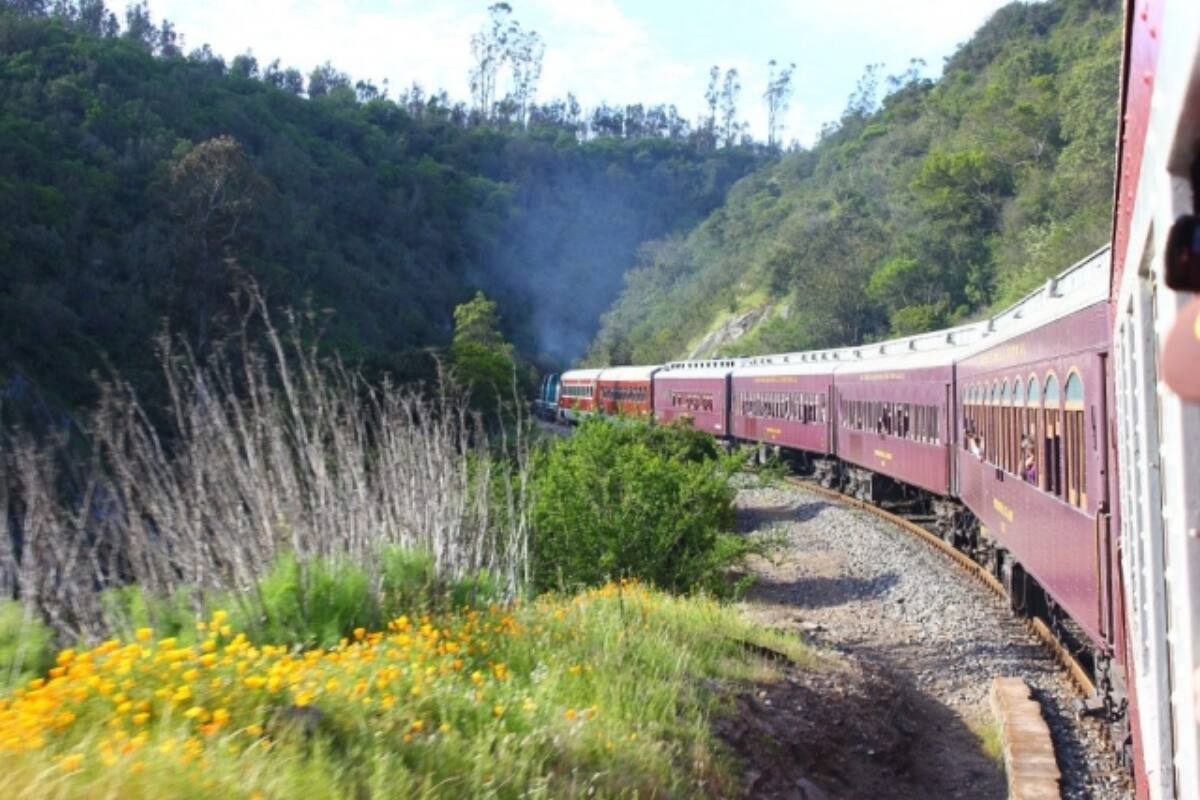 Todos los viernes, hasta mediados de marzo, habrá viajes hacia Temuco. Créditos: EFE.