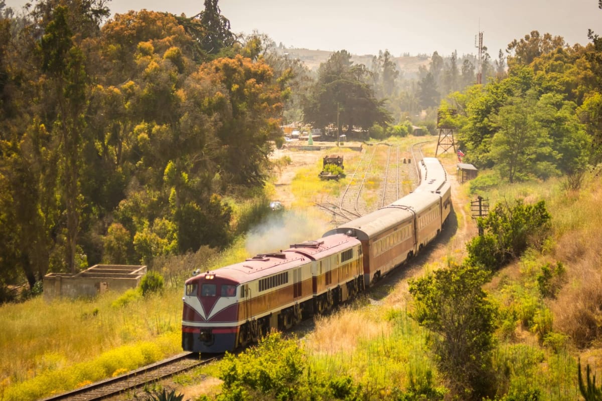 Este panorama es ideal para realizarlo en compañía de niños o de toda la familia. Foto: Tren del Recuerdo.