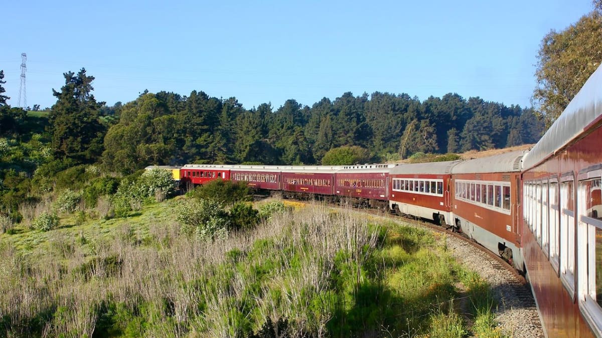 Tren del Recuerdo retomará histórico recorrido este fin de semana tras décadas de ausencia