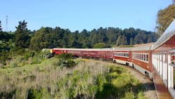 Tren del Recuerdo retomará histórico recorrido este fin de semana tras décadas de ausencia