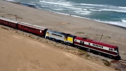 Tren del Recuerdo llegará a la playa desde Rancagua este fin de semana: Ruta, horarios y precios de los pasajes