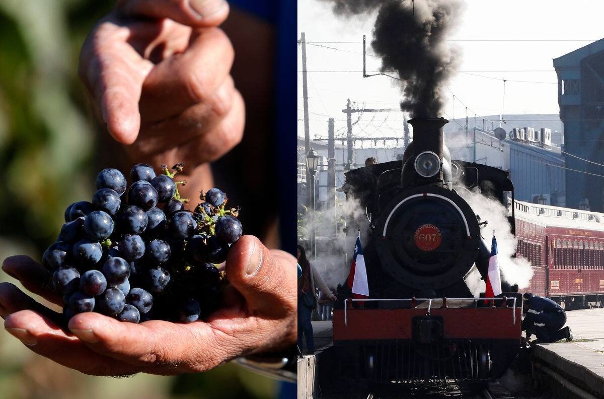 Nuevo recorrido del Tren del Recuerdo te llevará a la Fiesta de la Vendimia de El Monte