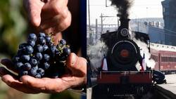 Nuevo recorrido del Tren del Recuerdo te llevará a la Fiesta de la Vendimia de El Monte