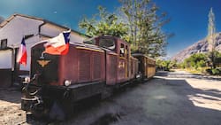 A una hora de Santiago y por $2.000: disfruta de este gran panorama en el Cajón del Maipo