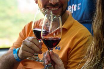 Nuevo Tren Sabores del Maule parte este 24 de agosto: ¿Cuánto cuestan las entradas y qué incluye?