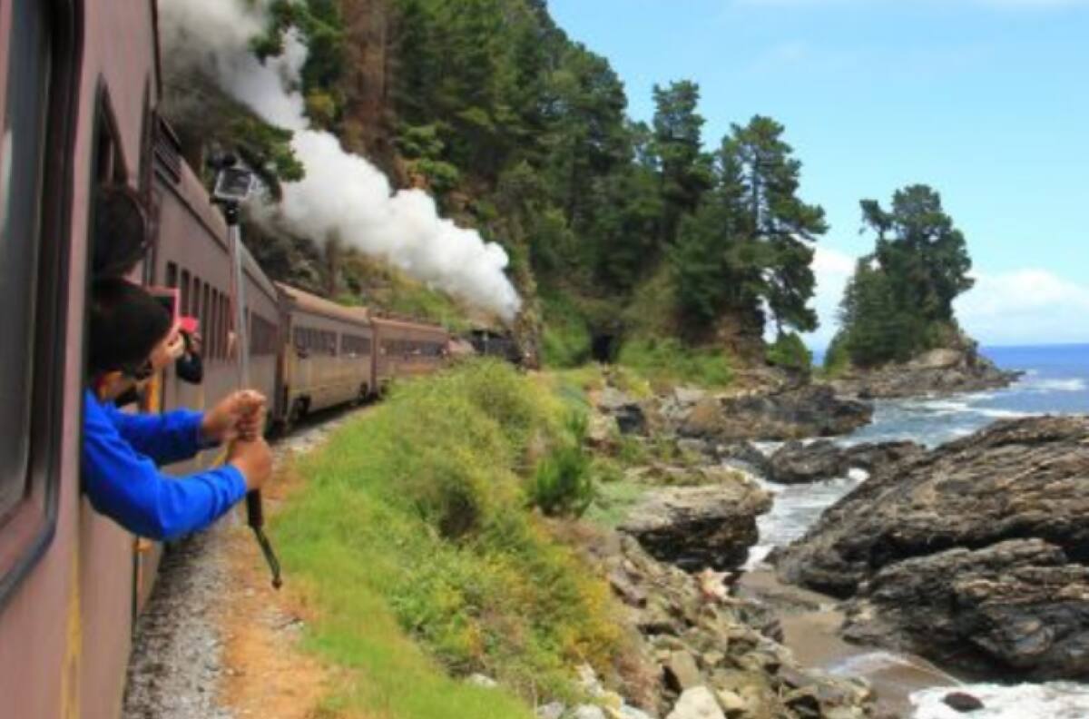 Tren Santiago - Limache: Revisa los precios y cómo comprar tus boletos