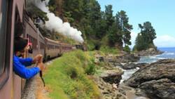 Tren Santiago - Limache: Revisa los precios y cómo comprar tus boletos