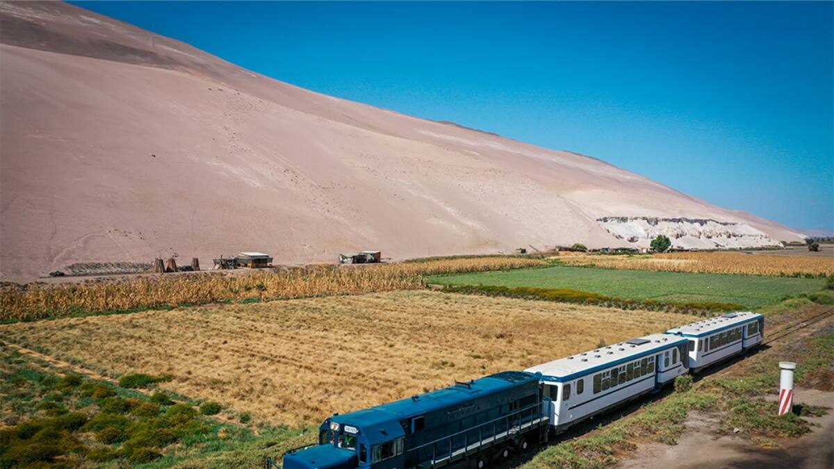 Tren turístico Arica a Poconchile: Precio, horarios y dónde comprar sus pasajes