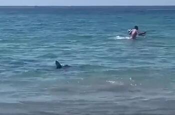 VIDEO | Un tiburón de dos metros asustó a todos en una playa de España