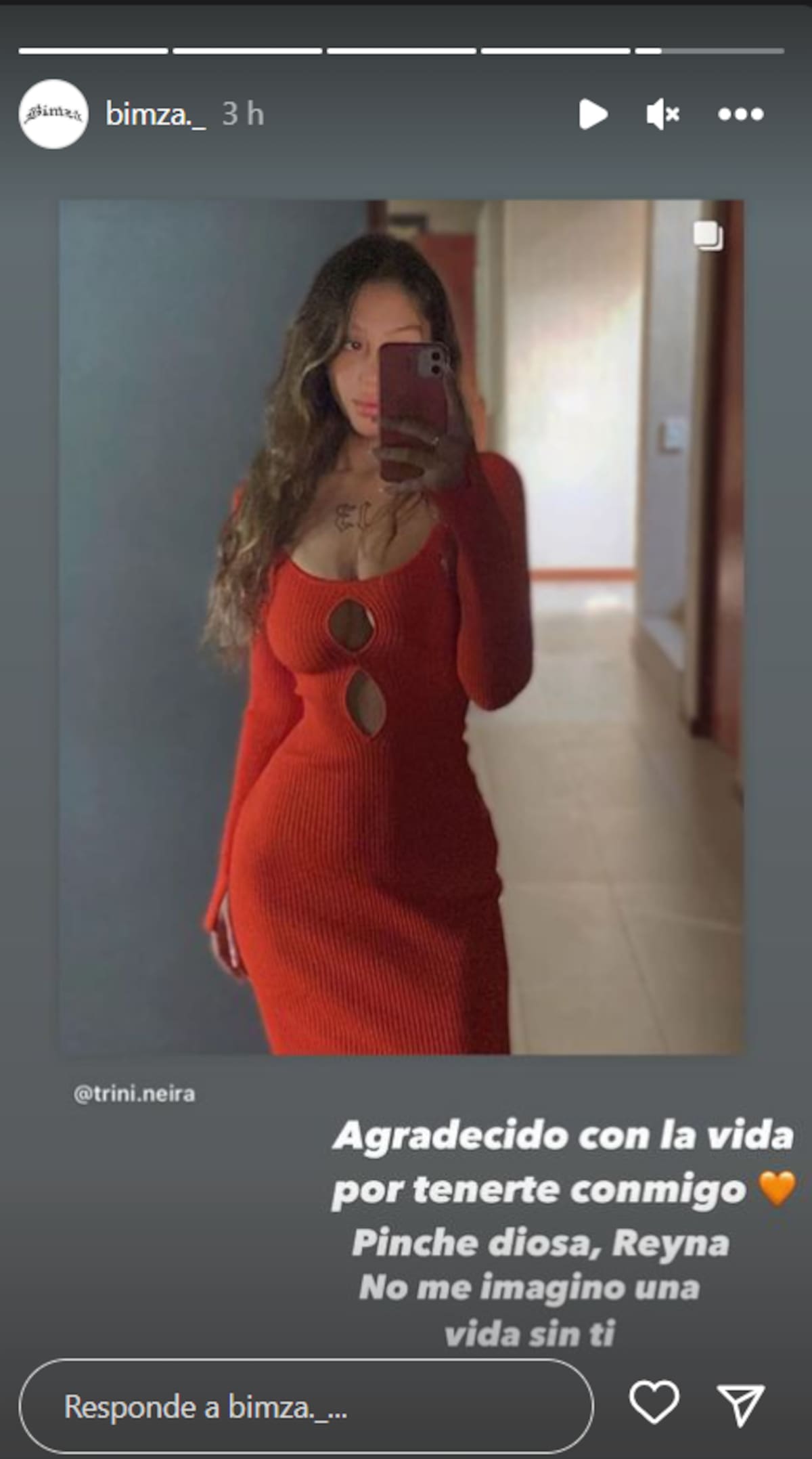 El comentario de Bastián Muñoz a su polola, Trinidad Neira.