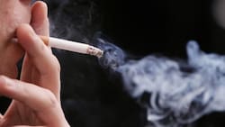 ¿Fumas dentro de la casa? Así de fácil y rápido puedes quitar el olor a cigarro de tu hogar