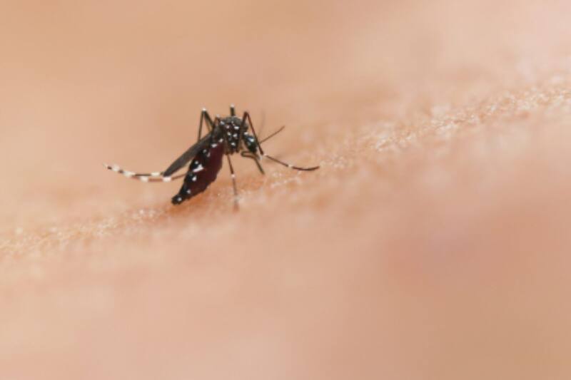 Se necesitan pocos ingredientes para preparar esta mezcla.
Créditos: Unsplash.