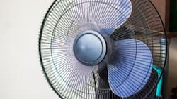 “Si te acercas, verás la suciedad incrustada”: Este sencillo truco te ayudará a limpiar por completo tu ventilador