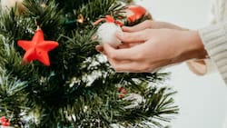 Ni vinagre ni agua oxigenada: Así de fácil vas a poder quitar el olor a guardado y el polvo de tu decoración navideña