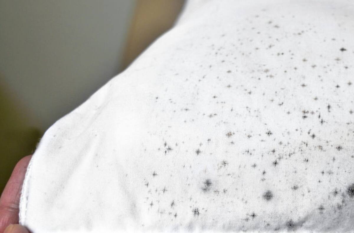 Este truco casero es perfecto para eliminar los hongos alojados en tu ropa o toallas de baño