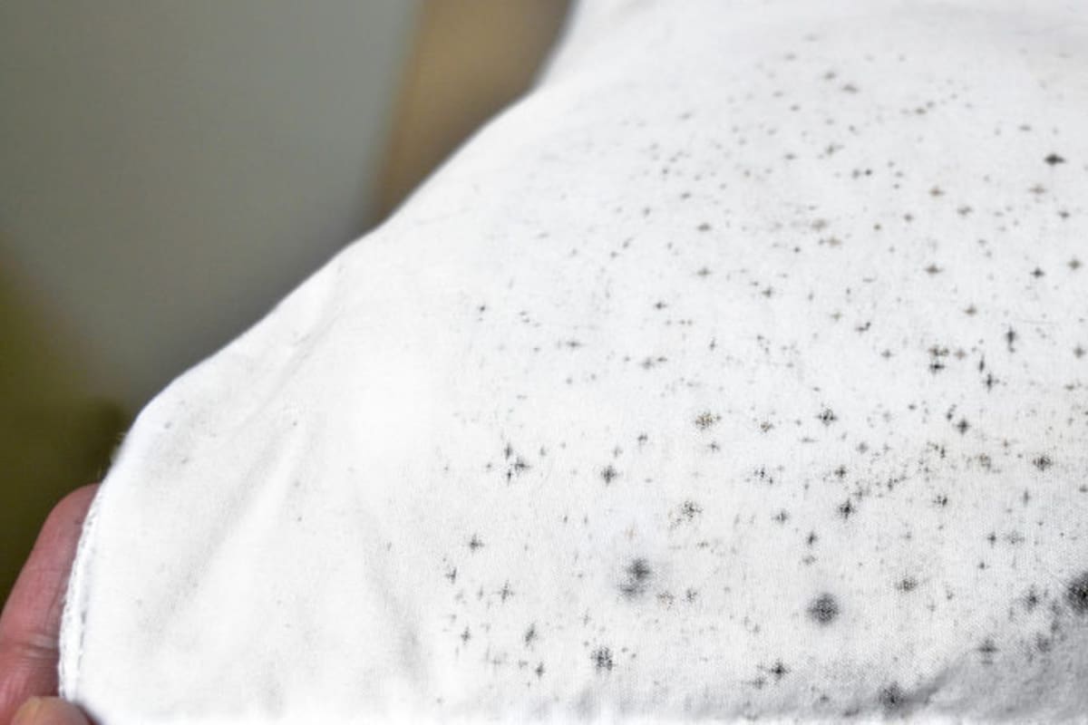 Estas manchitas suelen aparecer luego de que la ropa permanezca guardada por mucho tiempo o expuesta a la humedad.
Créditos: Unsplash.