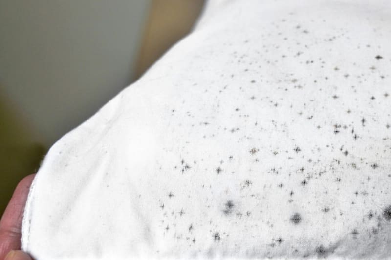 Estas manchitas suelen aparecer luego de que la ropa permanezca guardada por mucho tiempo o expuesta a la humedad.
Créditos: Unsplash.