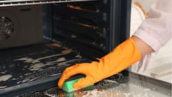 Fórmula infalible para limpiar la puerta del horno de la cocina: quedará brillante y sin grasa