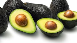 “Ni siquiera en el plato quedarán restos”: El truco del momento para conservar la palta molida por hasta 24 horas