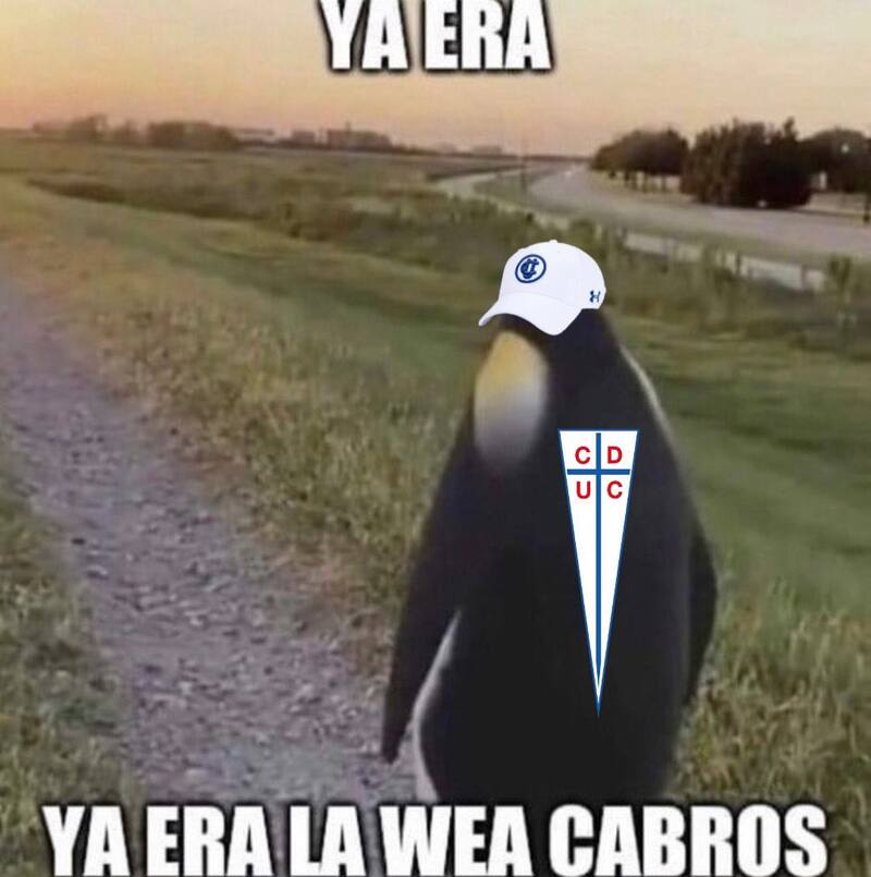 U católica meme