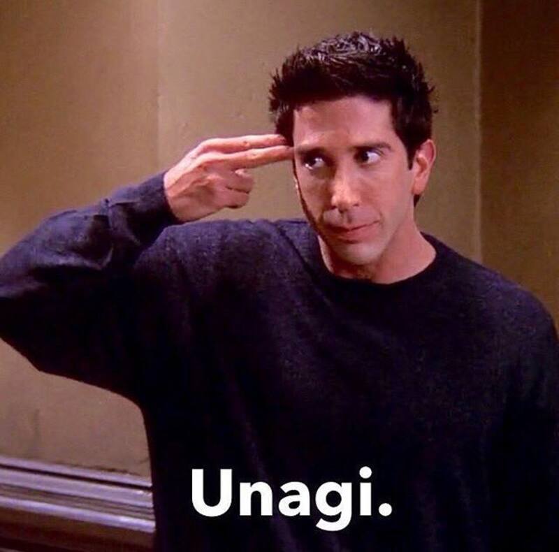 Ross de Friends y "Unagi"