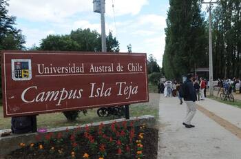 Estas son las 5 carreras impartidas en la Universidad Austral que más alta empleabilidad generan, según Mineduc