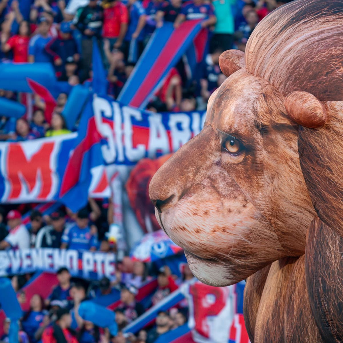 La U sale a la cancha en su aniversario para disputar prestigioso torneo internacional