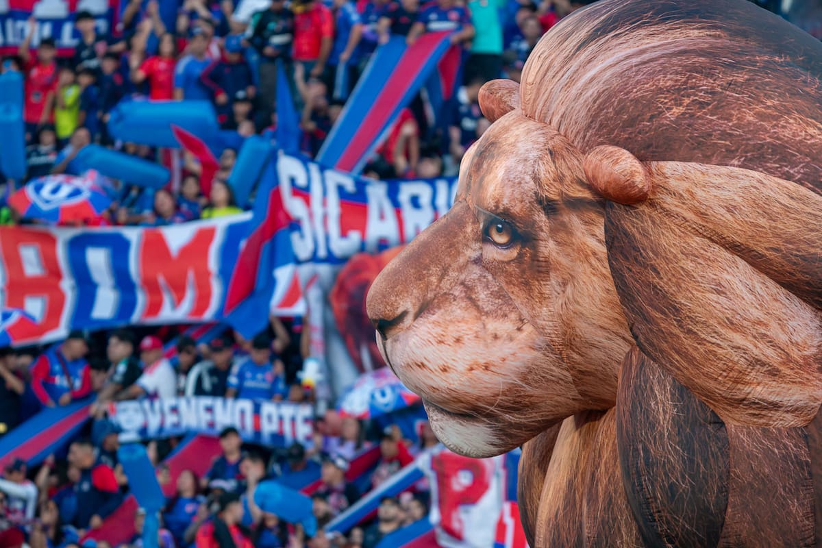 Foto: Felipe Escobedo/En Cancha