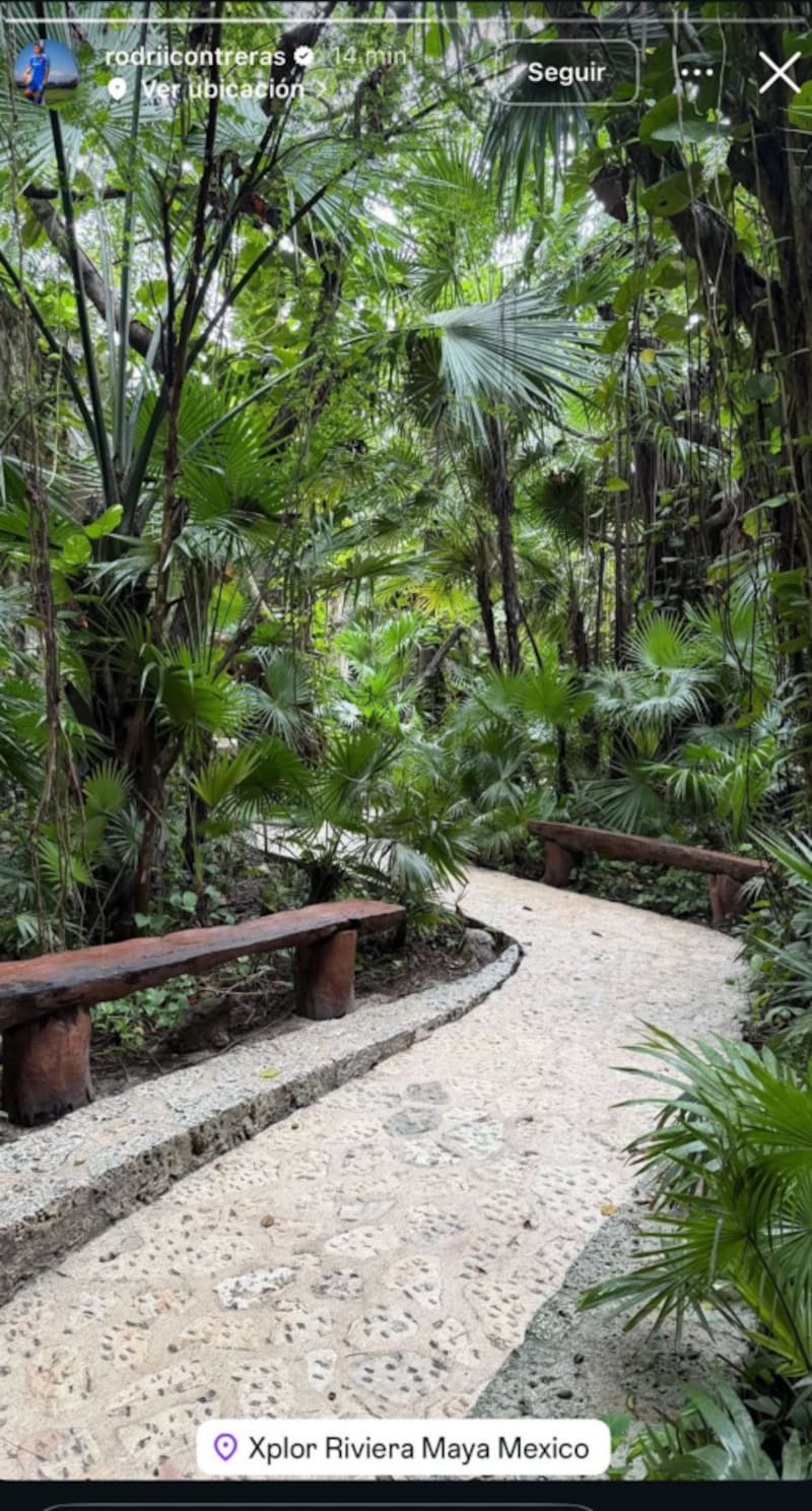 Jugadores de la U en México.