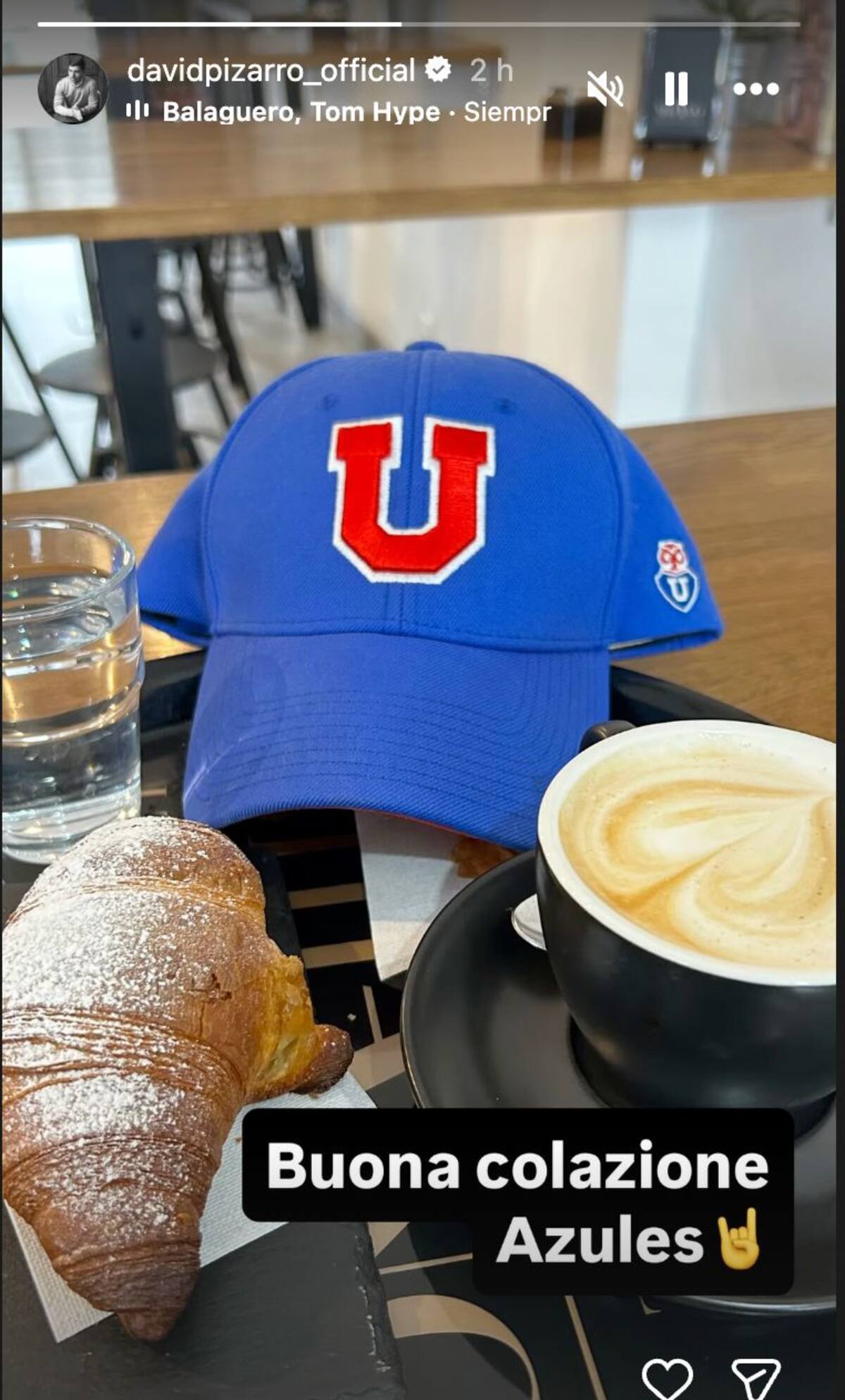 David Pizarro en redes sociales.