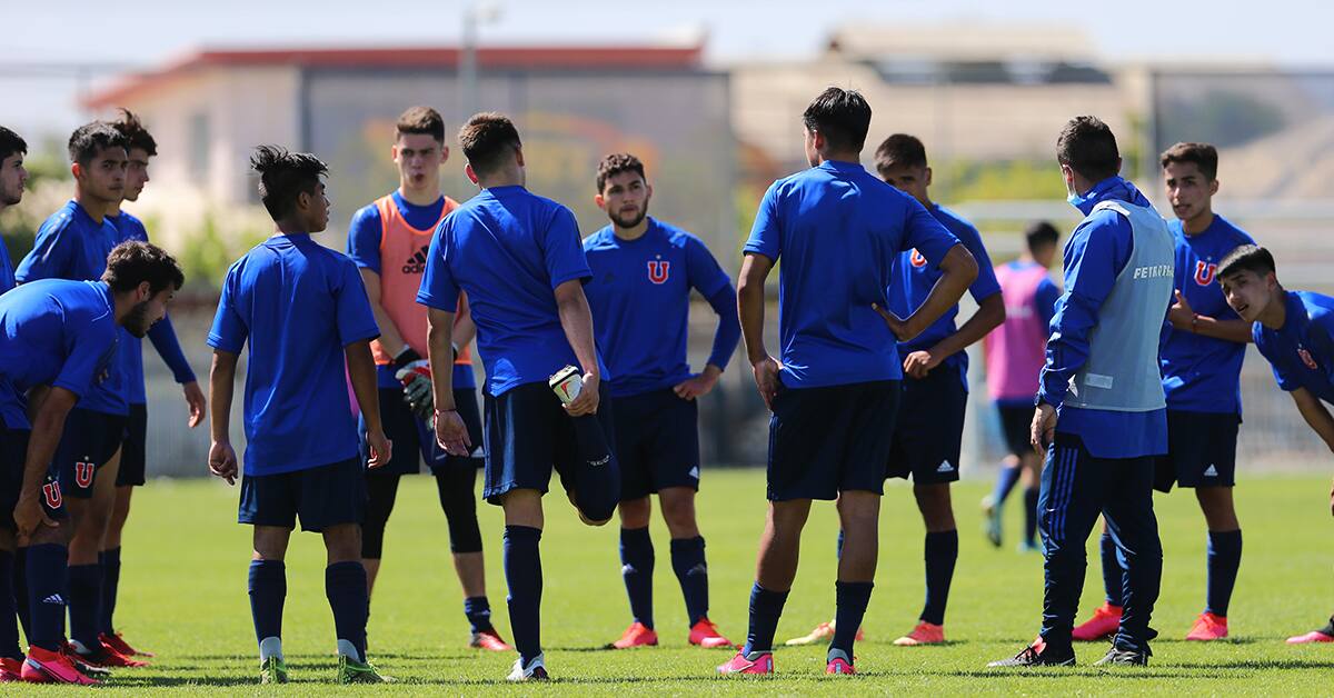 Universidad de Chile Formativo