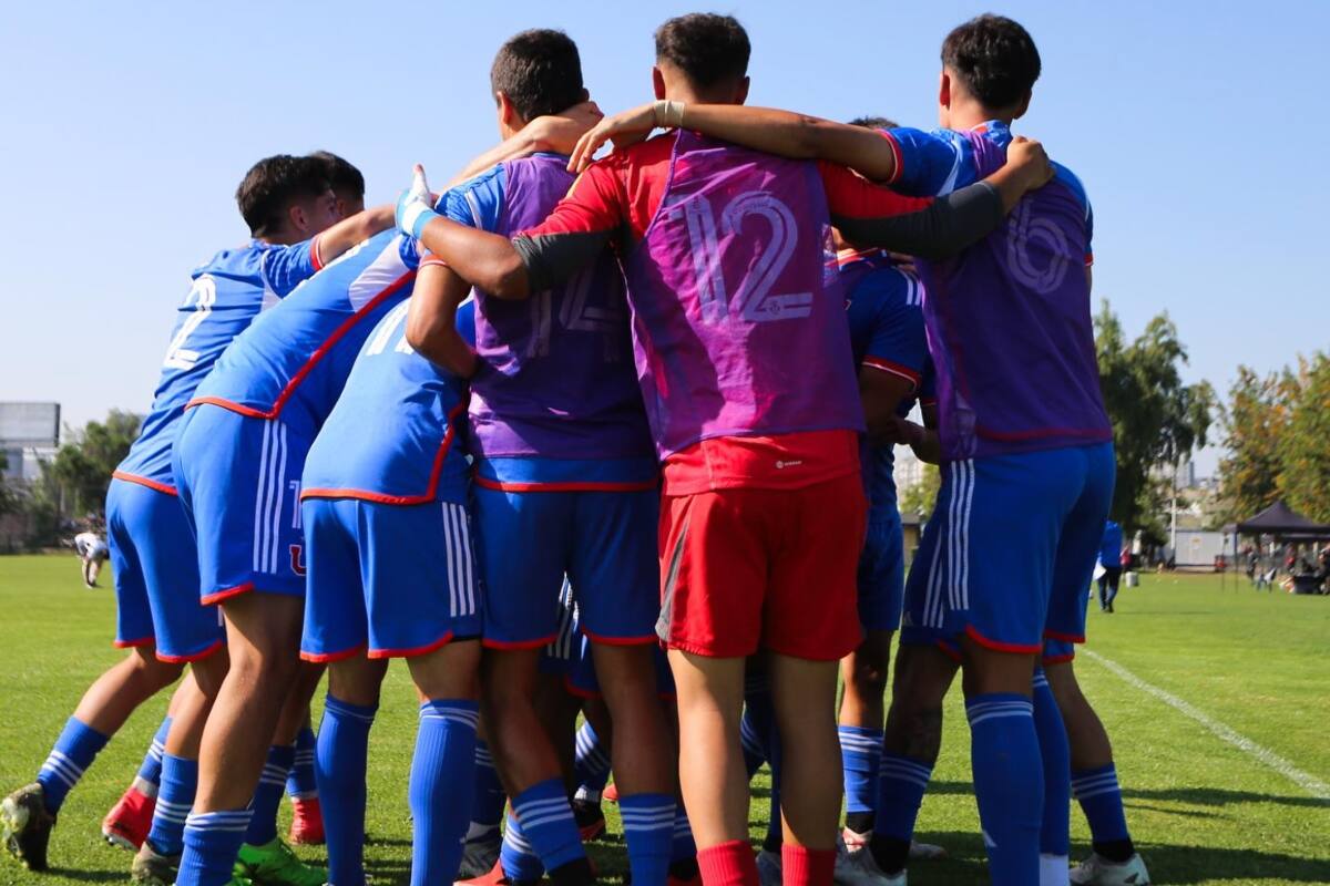 La categoría de Proyección de los azules.