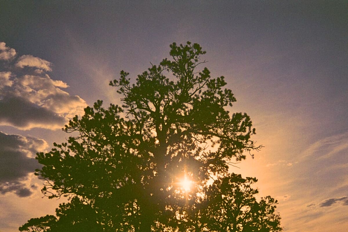 La inclinación de la Tierra hacia el Sol, provoca que el hemisferio sur se encuentre más cerca y reciba de manera más intensa los rayos solares.