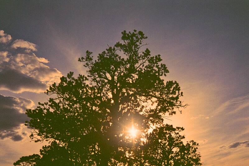 La inclinación de la Tierra hacia el Sol, provoca que el hemisferio sur se encuentre más cerca y reciba de manera más intensa los rayos solares.