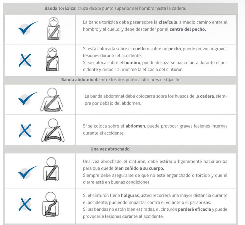 Uso correcto del cinturón de seguridad.