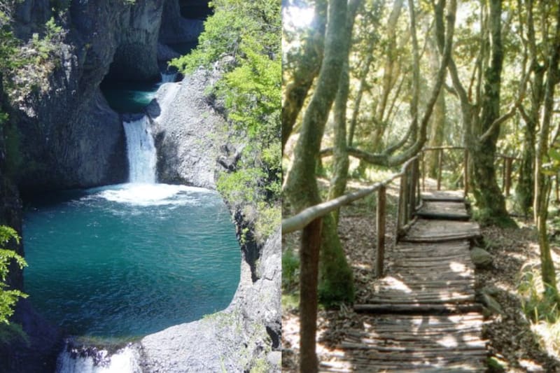 Un gran panorama es visitar áreas silvestres.