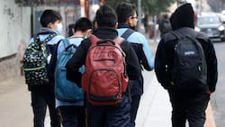 ¿Cuándo comienzan las vacaciones de verano para los estudiantes de Chile?