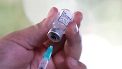 Vacunación Covid-19: ¿Quiénes pueden vacunarse este domingo 23 de abril?